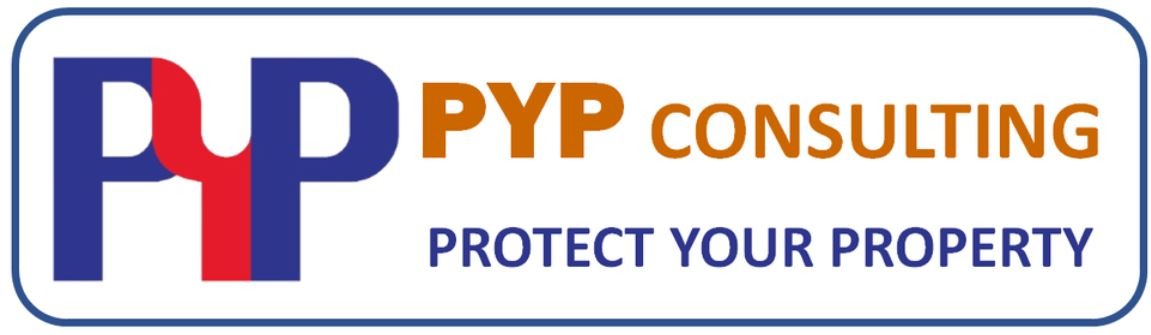 Logo PYP solutions and consulting services